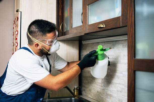 Best Bed Bug Extermination  in Three Points, AZ