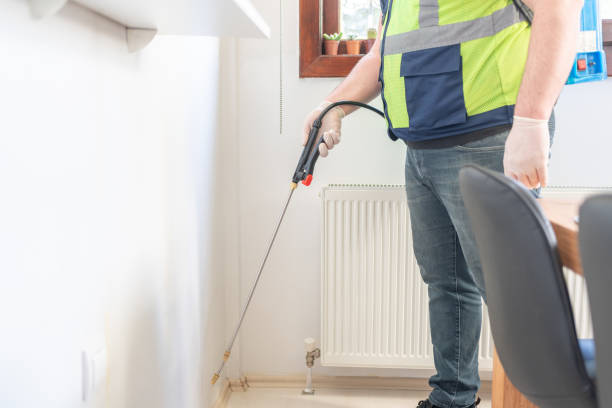 Best Local Pest Control Services  in Three Points, AZ